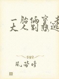 一胎俩宝,老婆大人别想逃小说