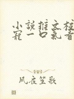 小说推文校园甜宠一口气看完