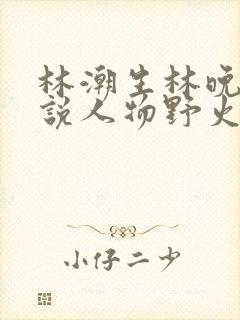 林潮生林晚晚小说人物野火