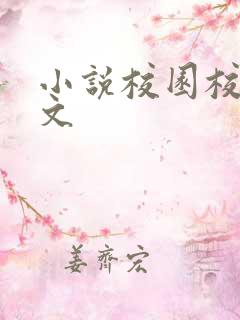 小说校园校霸甜文
