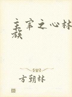 主宰之心林辰虫族