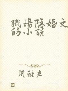 职场隐婚文好看的小说