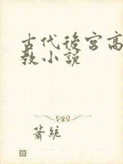 古代后宫高h调教小说