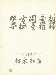 双方同意离婚孩子抚养权归谁所有