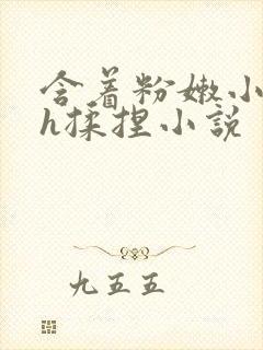 含着粉嫩小奶头h揉捏小说