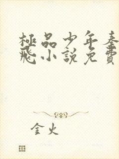 极品少年秦姨小飞小说免费阅读