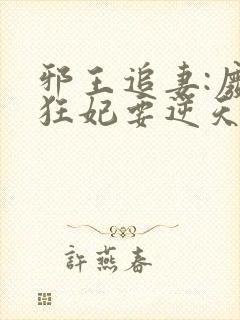 邪王追妻:废材狂妃要逆天