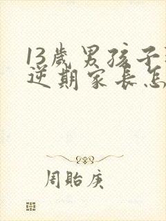 13岁男孩子叛逆期家长怎么做