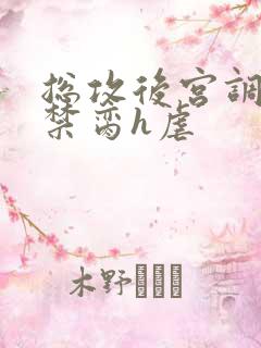 总攻后宫调教成禁脔h虐