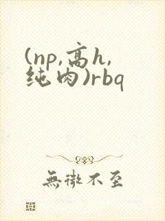 (np,高h,纯肉)rbq