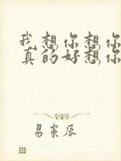 我想你想你想你真的好想你是什么歌