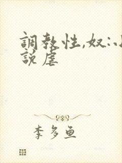 调教性,奴:小说虐
