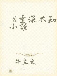 《云深不知梦》小说