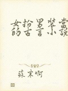 女扮男装当皇子的古言小说