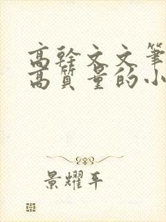 高干文文笔好的高质量的小说现代言情