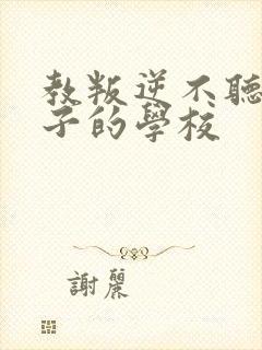 教叛逆不听话孩子的学校