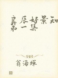 良辰好景知几何第一集