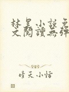 林昊小说免费全文阅读无弹窗