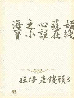 海之心苏媚赵大宝小说在线阅读