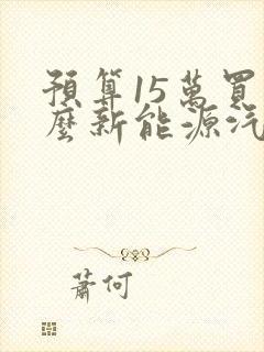 预算15万买什么新能源汽车