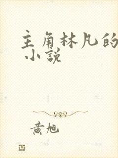 主角林凡的小说 小说