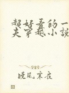 超好看的一女多夫穿越小说