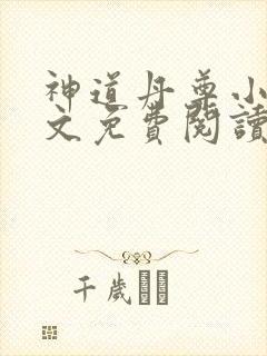 神道丹尊小说全文免费阅读完整版