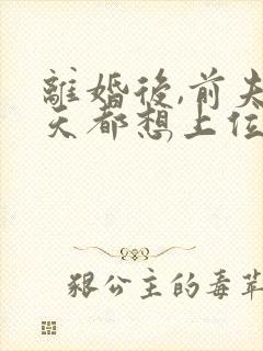 离婚后,前夫每天都想上位小说txt