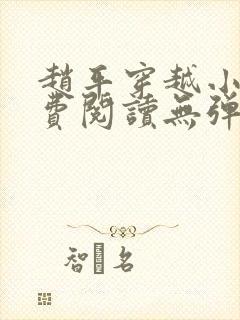 赵平穿越小说免费阅读无弹窗