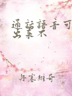 通话语音可以调出来不