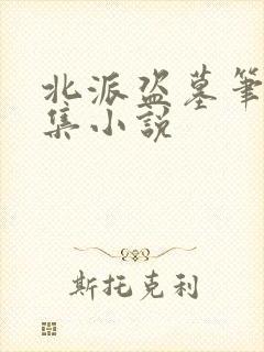 北派盗墓笔记全集小说