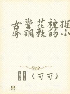 女警花被捆绑屈辱调教的小说