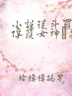 小说从斗罗开始俘获女神鞪慕电子书下载