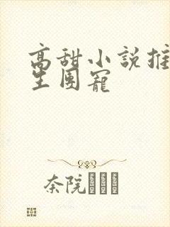 高甜小说推荐重生团宠