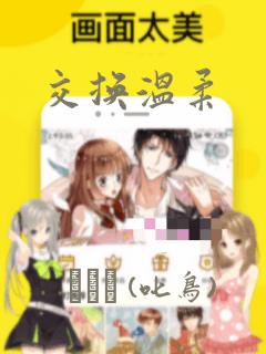 交换温柔：结局+番外