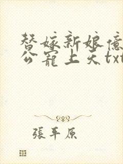 替嫁新娘亿万老公宠上天txt全集下载