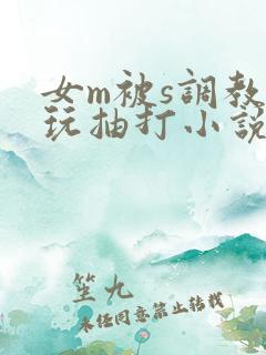 女m被s调教虐玩抽打小说
