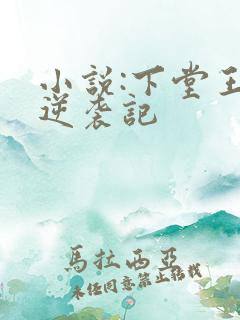 小说:下堂王妃逆袭记