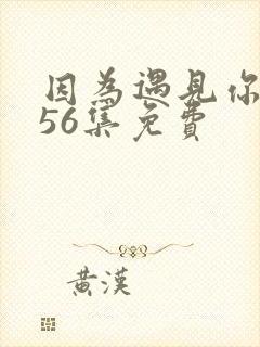 因为遇见你1~56集免费