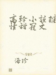 高干小说推荐言情甜宠文