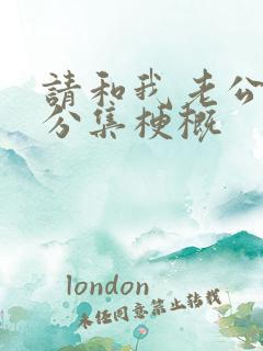 请和我老公结婚分集梗概