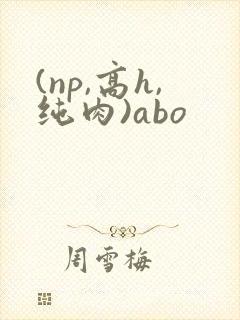 (np,高h,纯肉)abo