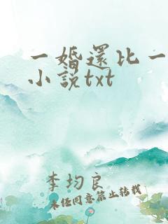 一婚还比一婚高小说txt