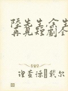 陆先生,余生不再见短剧全集