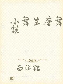 小舞生唐舞麟小说