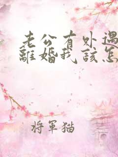 老公有外遇提出离婚我该怎么办