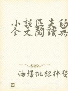 小说匹夫的逆袭全文阅读无弹窗