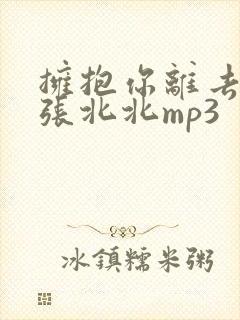 拥抱你离去原唱张北北mp3