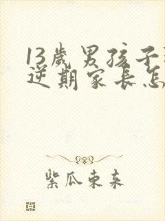 13岁男孩子叛逆期家长怎么做