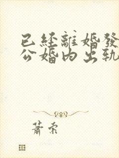 已经离婚发现老公婚内出轨